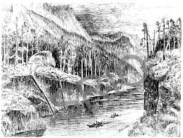 Bildergebnis für Pehr-Olof Nystrom