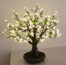 Huge choice of spring bulbs! Cherry Blossom Bonsai By Enchanted Trees Notonthehighstreet Com