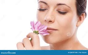 Savourer L'odeur De La Nature. Une Belle Jeune Femme Qui Sent Une Belle Fleur  Rose Copyspace. Photo stock