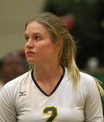 Bobcat setter Lorissa Parks named to 3rd-team all-section; PV's Kayla Joyce  MVP
