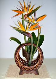 Bird Of Paradise Arrangement Ideas How To Make Ikebana Flower Arrangement Ikebana International Chapter 182 Annual Modern Flower Arrangements Flower Arrangements Simple Ikebana Arrangements