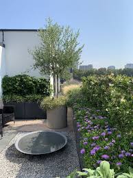 You can sit there and enjoy. Designing A Roof Terrace Roof Garden Design Ideas