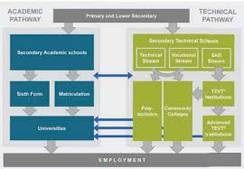 Tvet live is an online live course that conducted by industrial player who want to invest their knowledge to produce digital apprentice.courses is our digital charity on. Mainstreaming Technical Education And Vocational Training Dual Pathway Download Scientific Diagram