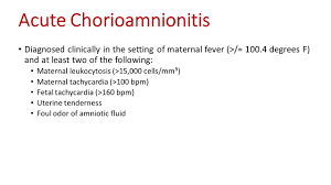 Image result for Chorioamnionitis