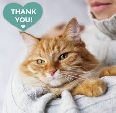 We did not find results for: Pleasanton Veterinary Hospital Home Facebook