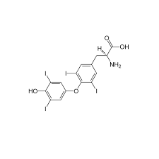 Image result for Thyroxine
