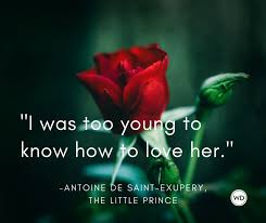 Collection of the best le petit prince quotes by famous authors, inspiring leaders, and interesting fictional characters on best quotes ever. 12 Magical Quotes From The Little Prince By Antoine De Saint Exupery Writer S Digest