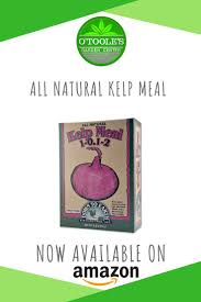 Bioadvanced Fungus Control For Lawns Ready To Spray 32 Ounce This Kelp Meal Can Be Used In Seedling Mixes And Potting Soils To Stimulate Root Development Stop Transplant Shock B Kelp Meal Alleviate Stress Stress Causes