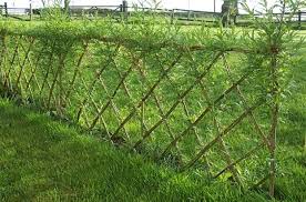 Willow plants require moist conditions and wont tolerant dry soils. Living Willow Musgrove Willows