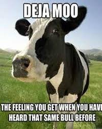 Cows go moo not who. Cow Puns Funny Cow Memes Viral Memes