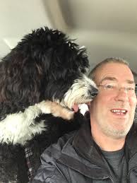 Morris Gypsy Lifestyle and Caravan Living in British Countryside