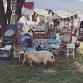 Farm Girl Fair