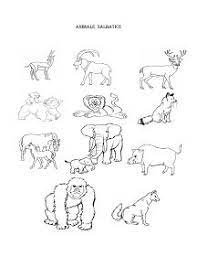 Animal carnivor, care are ca hrana de baza cadavrele altor animale. Imagini Pentru Colorat Cu Animale Salbatice Coloring Free To Print