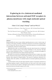 Design of the study and actions that the researcher will take. Wiley Template For Authors
