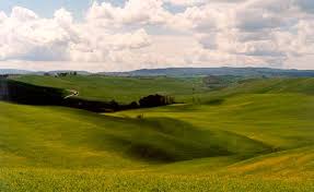 Tutte le info su terreni agricoli e aree edificabili. Terreni Classificati Aree Edificabili Imu E Tasi