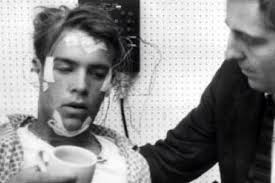 نتيجة بحث الصور عن ‪russian sleep experiment photo‬‏