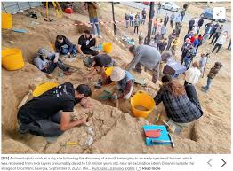 Image result for Droogmansia