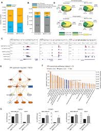 Rna Seq Unveils A Previously Undefined Role For Rna