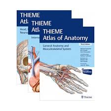 Clinical knowledge presented in conjunction with anatomy is increasingly important earlier and earlier in the study of medicine. Thieme Atlas Of Anatomy Three Volume Set Third Edition Nobel Kitabevi