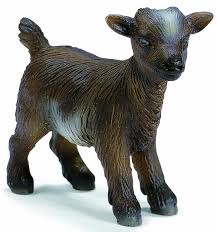 Not only can you be sure of the quality of every goat you purchase from shepherd's touch, you can be involved in every step of the preparation journey. Schleich Dwarf Kid Baby Goat Buy Online In Andorra At Andorra Desertcart Com Productid 53278258
