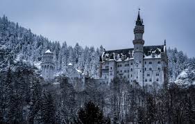 Neuschwanstein castle in the snow, views from the walking path on the way to mary's bridge; Wallpaper Winter Forest Castle Germany Bayern Germany Bavaria Neuschwanstein Castle Neuschwanstein Castle Schwangau Schwangau Images For Desktop Section Pejzazhi Download