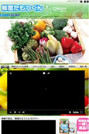 冷蔵室 野菜室の野菜 果物の鮮度を保ちます 鮮度たもつくん エチレンガスとは オルディ株式会社