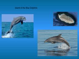 Tropes found in island of the blue dolphins: Island Of The Blue Dolphins Flora And Fauna By Karen Robertson Tpt