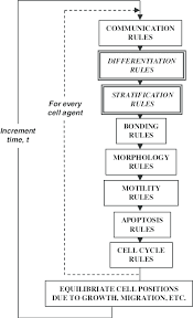 Flow Chart Illustrating Model Structure Boxes With Bold