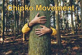As a result, the king of jodhpur banned the cutting of trees in all the bishnoi villages. Chipko Movement History Causes And Importance Earth Reminder