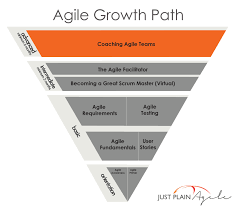 Scrum Master Skills Set Google Search Scrum Master Scrum Social Media Optimization