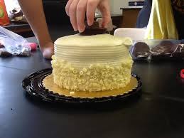 We did not find results for: The Edible Cell Project Bulb