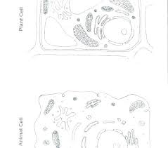 Check out our animal cell model and explanation to understand what makes these cells distinct. Best Cells Alive Animal Cell Worksheet Answer Key Pdf Image Collection