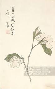 主要品名 梔子花 art flowers home decor decals