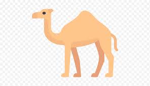 Carousel horse pin the tail on game blue & red printable. Picsart Dromedary Camel Toe Editing Wildlife Love Remix Discover Card Png Klipartz