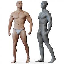 Like women, men have a complex system of sexual organs. Male 02 Anatomy Reference Pose 02