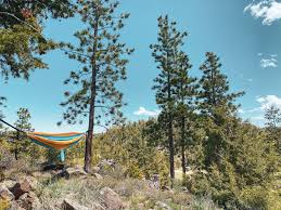 The area is comprised of unique rock formations and views of the mountains. Guide To Camping Hiking In Red Feather Lakes Colorado Sundays