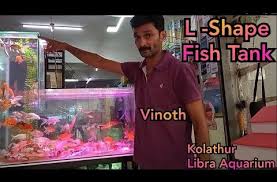 Aquariums L Shape Multi Level Aquarium Kolathur Fish Market Libra Aquarium In 2020 Aquarium Diy Aquarium Filter Aquarium Filter