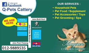 Kita komunikasi, akhirnya dapat ide untuk bisnis japanese food, kata chef juna di transpark mall bintaro, tangerang selatan. Q Pets Cattery Kedai Kucing Terengganu Home Facebook