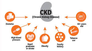 1124 patients with renal disease, 566 with diabetes, both types. What Is Kidney Disease