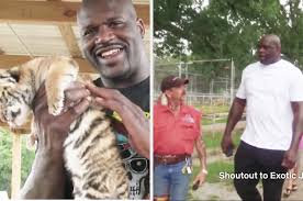 Tiger king joe exotic memes. Tiger King Shaquille O Neal Says Joe Exotic Is Not My Friend Despite His Appearance On The Show