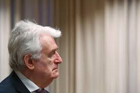 UN prosecutor seeks life term for Karadzic at appeal hearing