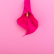 Doctors have a hard time detecting the disease. Ovarian Cancer Ovarian Cancer Drug Approved On The Nhs