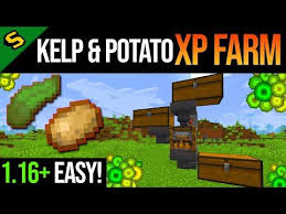 This is probably one of the easiest and safest ways to farm up xp in minecraft. Minecraft Easy Xp Farm Tutorial Kelp Potato Java Bedrock 1 16 Youtube In 2021 Minecraft Farm Minecraft Minecraft Houses