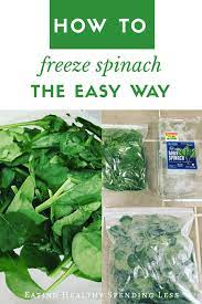 What is a healthy way to cook spinach? How To Store Spinach In Freezer Arxiusarquitectura
