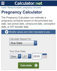 How to calculate a possible due date? Pin On Twins