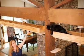 Maybe you would like to learn more about one of these? I Catified My Friends House For Their 7 Cats Bored Panda