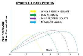 Differences Between Isolates Whey Proteins And Concentrates