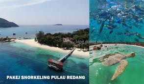 Good availability and great rates. Pakej Snorkeling Pulau Redang Daytrip Blog Pakej My