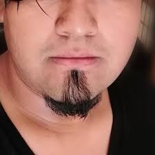 Ayer compré 7 gambas para mi acuario, y no veo ninguno, es posible que mis  peces se los hayan comido?