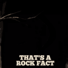 The beauty of over the garden wall. Rock Fact Gifs Tenor